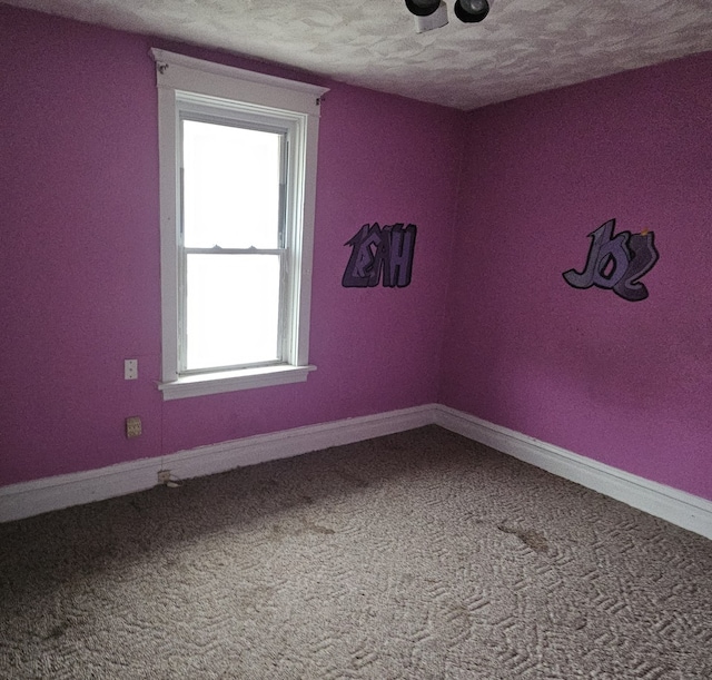 carpeted empty room featuring a wealth of natural light and a textured ceiling