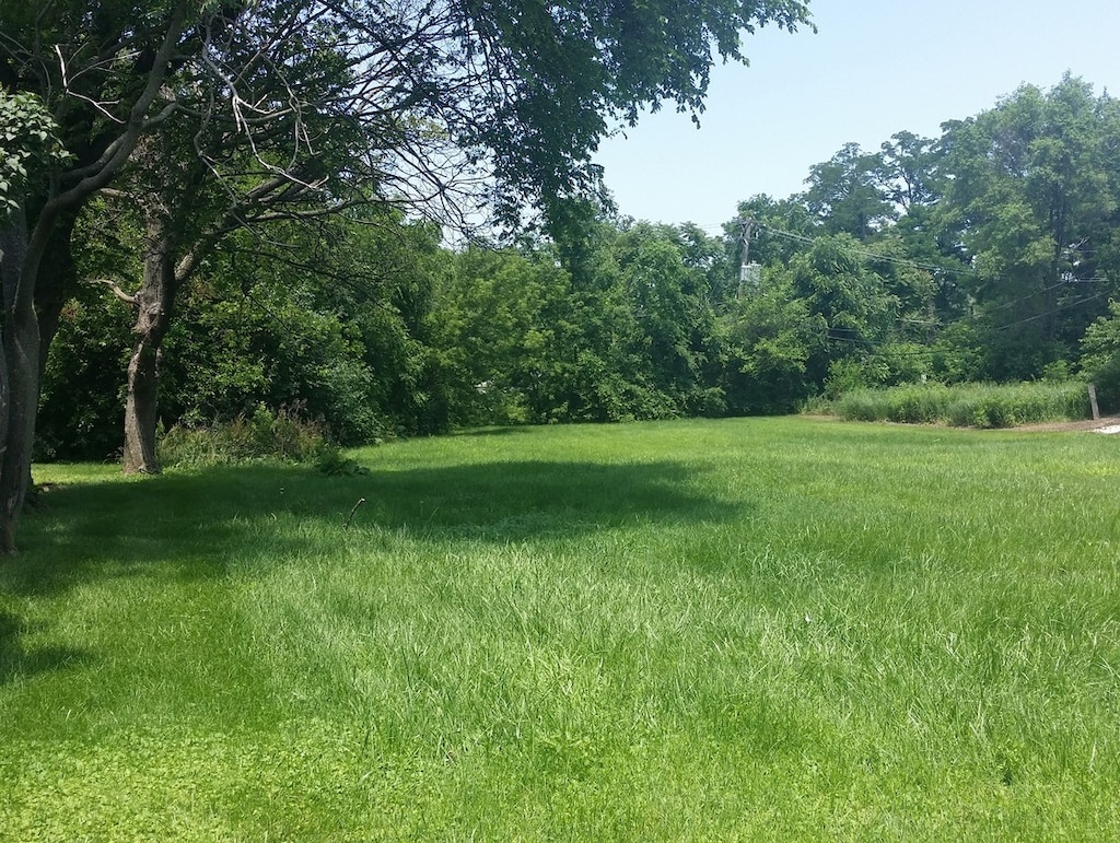 1632 Ogden Ave, Lisle, IL 60532 - photo 1
