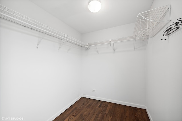 spacious closet featuring dark hardwood / wood-style flooring