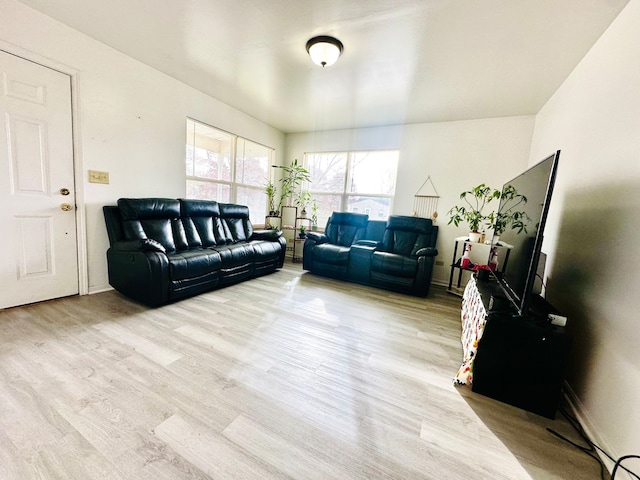 living room featuring light wood-type flooring