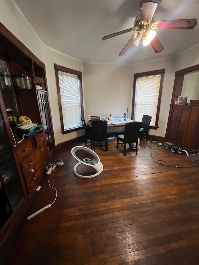 dining area with ceiling fan, a healthy amount of sunlight, dark hardwood / wood-style floors, and ornamental molding