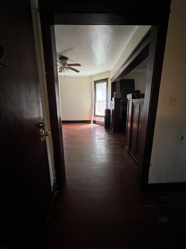 hall featuring dark hardwood / wood-style flooring