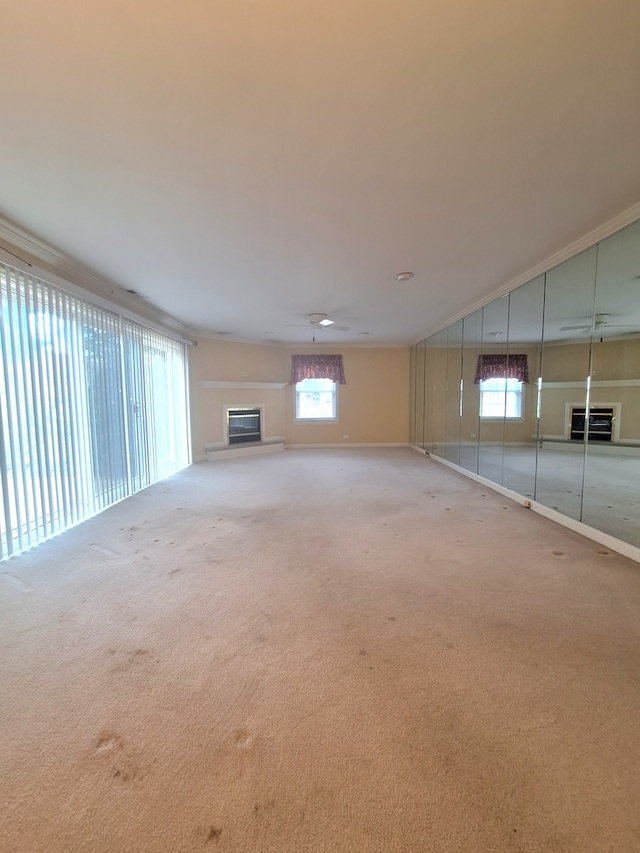 basement featuring carpet and plenty of natural light