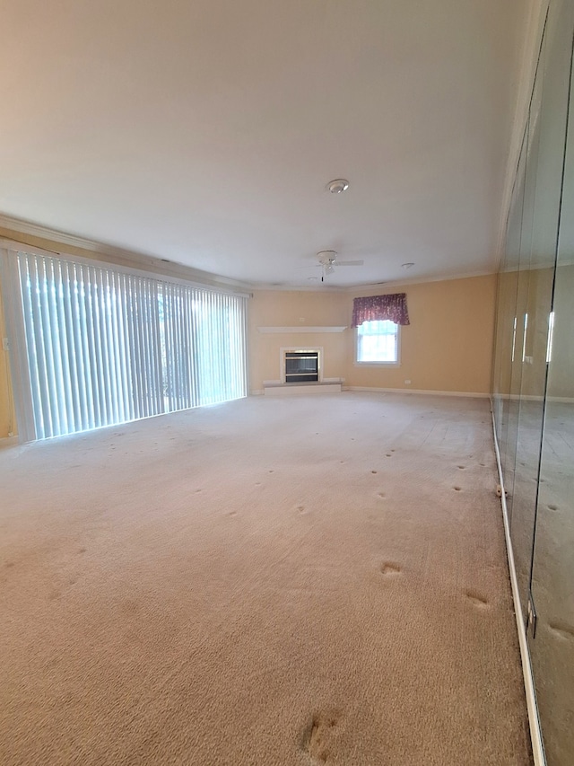 unfurnished living room with carpet