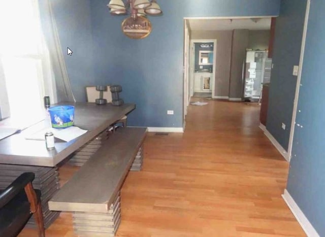 dining room with light hardwood / wood-style floors