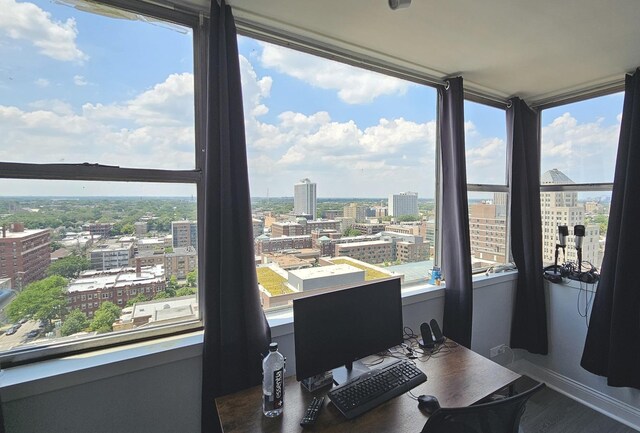 office with plenty of natural light, baseboards, and wood finished floors