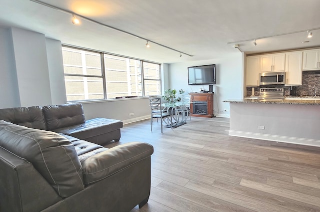 living room featuring a fireplace, track lighting, and light hardwood / wood-style floors