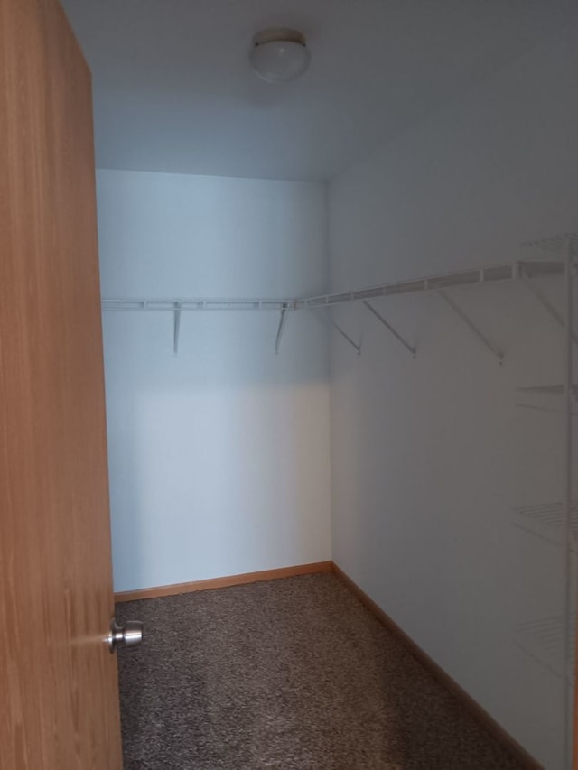 walk in closet with carpet