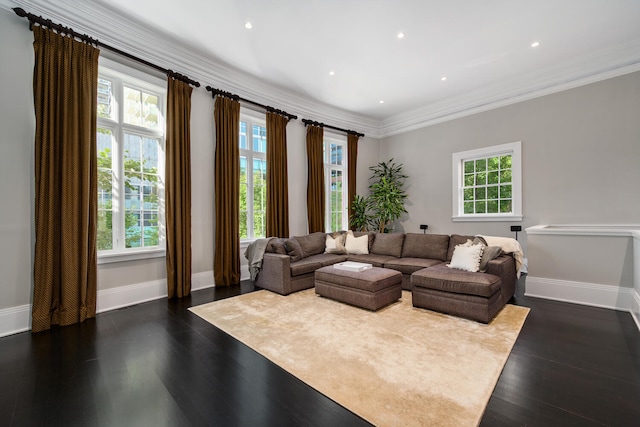 living room featuring dark hardwood / wood-style floors, crown molding, and a healthy amount of sunlight