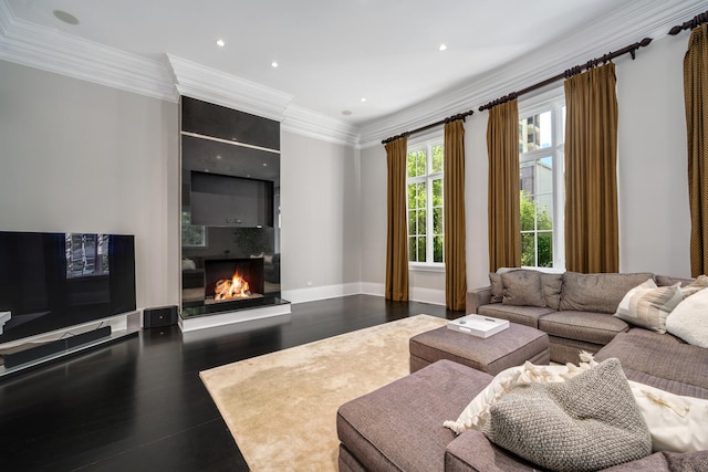living room featuring a large fireplace, dark hardwood / wood-style floors, and ornamental molding