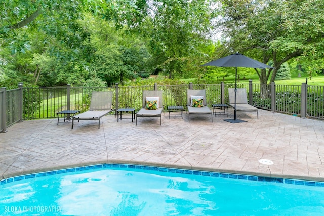 view of pool with a patio area