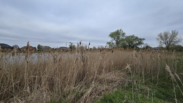 13255 W Laraway Rd, New Lenox, IL 60451 - photo 14