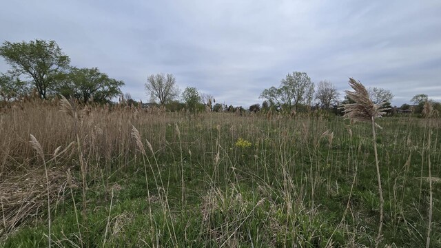 13255 W Laraway Rd, New Lenox, IL 60451 - photo 15