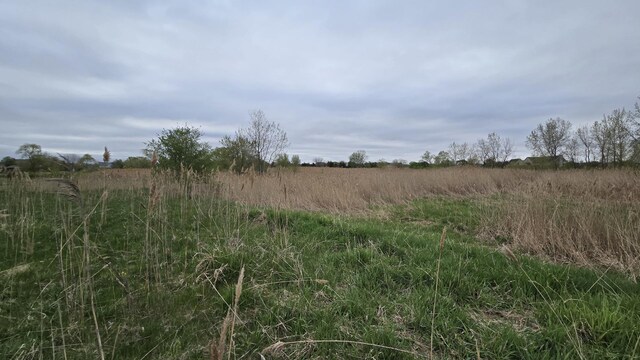 13255 W Laraway Rd, New Lenox, IL 60451 - photo 16