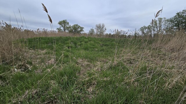 13255 W Laraway Rd, New Lenox, IL 60451 - photo 17