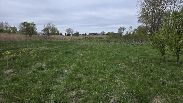 13255 W Laraway Rd, New Lenox, IL 60451 - photo 4