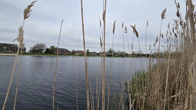 13255 W Laraway Rd, New Lenox, IL 60451 - photo 7