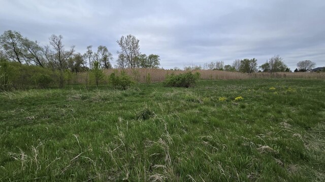 13255 W Laraway Rd, New Lenox, IL 60451 - photo 8