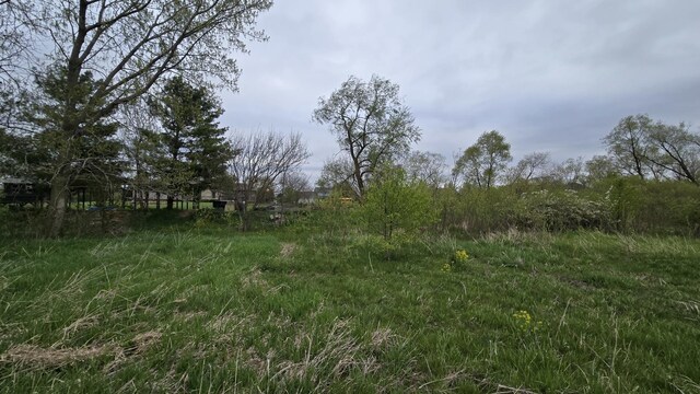 13255 W Laraway Rd, New Lenox, IL 60451 - photo 9