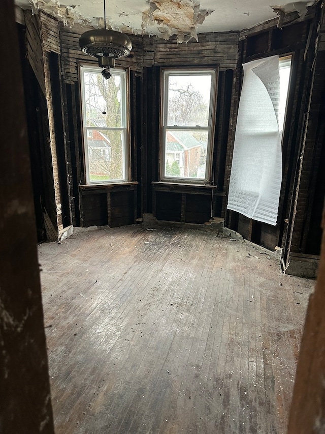 interior space with wood-type flooring and plenty of natural light