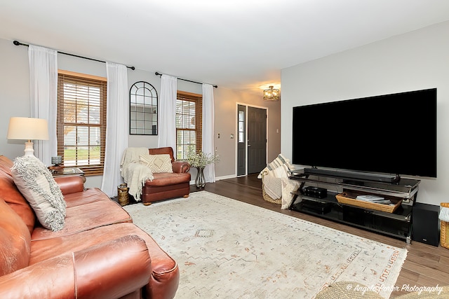 living room with hardwood / wood-style flooring