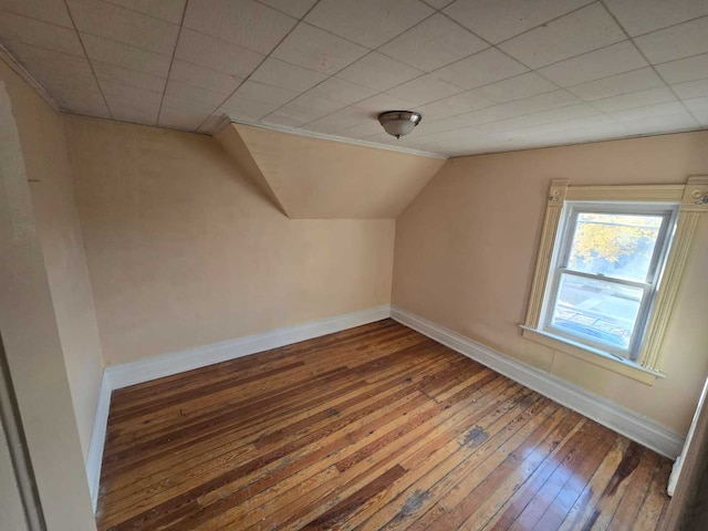 additional living space featuring dark hardwood / wood-style floors and lofted ceiling