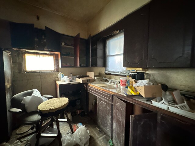 kitchen with dark brown cabinetry and sink