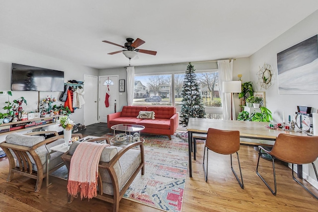 living room with ceiling fan and light hardwood / wood-style floors