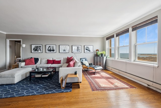 living area featuring wood-type flooring, ornamental molding, and a baseboard radiator