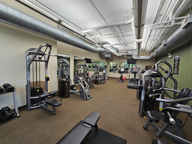 workout area with carpet