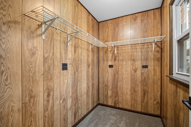 spacious closet featuring carpet