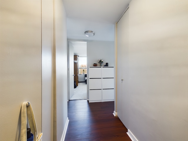 655 W Irving Park Rd Unit 1710, Chicago, IL 60613 - corridor with dark wood-style floors and baseboards