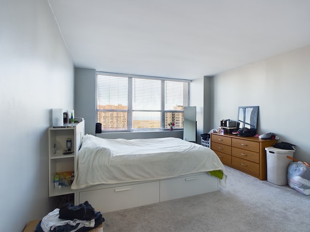 655 W Irving Park Rd Unit 1710, Chicago, IL 60613 - bedroom with carpet flooring