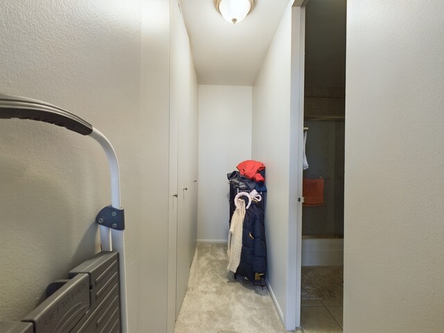 655 W Irving Park Rd Unit 1710, Chicago, IL 60613 - corridor featuring light carpet and baseboards