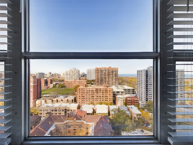 655 W Irving Park Rd Unit 1710, Chicago, IL 60613 - city view