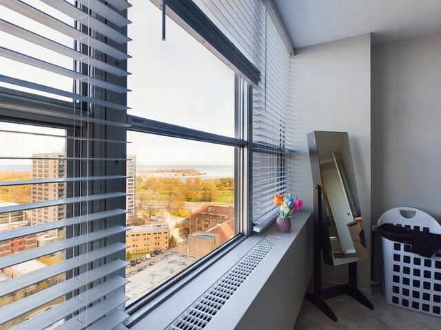 655 W Irving Park Rd Unit 1710, Chicago, IL 60613 - detailed view of carpet floors