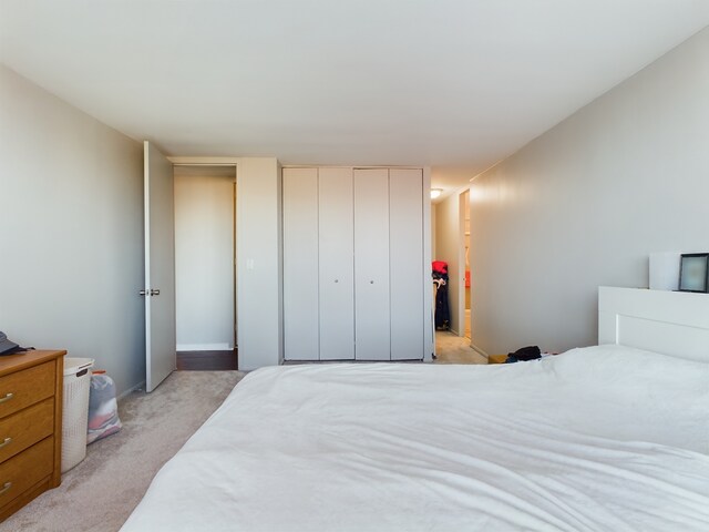 655 W Irving Park Rd Unit 1710, Chicago, IL 60613 - bedroom featuring light colored carpet and a closet