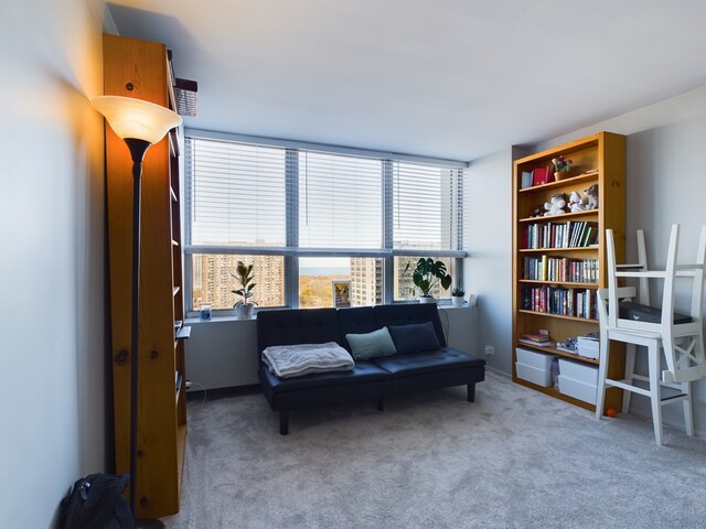 655 W Irving Park Rd Unit 1710, Chicago, IL 60613 - sitting room with carpet flooring