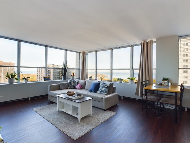 655 W Irving Park Rd Unit 1710, Chicago, IL 60613 - living room with wood finished floors