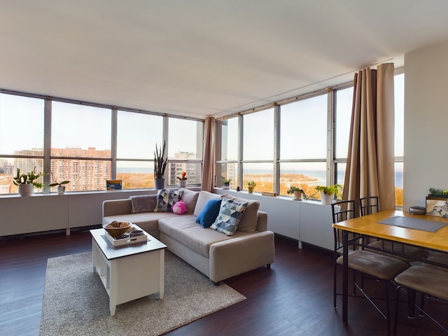 655 W Irving Park Rd Unit 1710, Chicago, IL 60613 - living room with dark wood-type flooring and healthy amount of natural light
