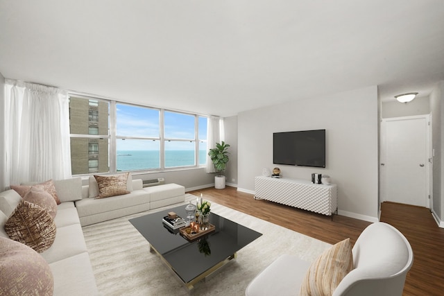 living room with hardwood / wood-style flooring