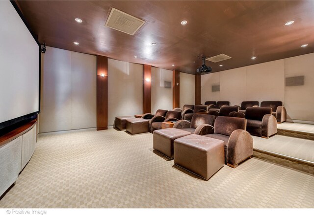 cinema room featuring light carpet