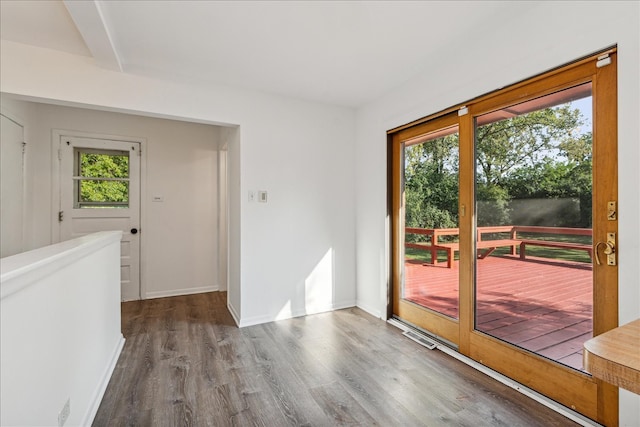 doorway featuring hardwood / wood-style flooring and plenty of natural light