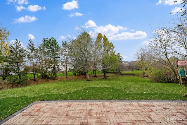 view of yard featuring a patio area