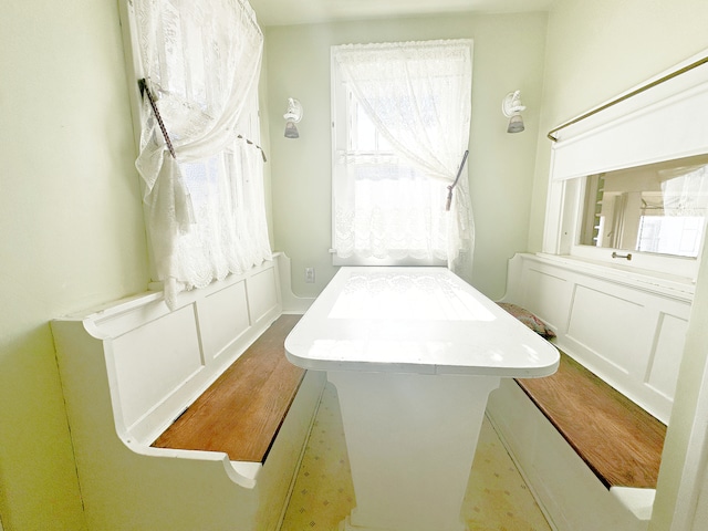 bathroom with plenty of natural light and wood-type flooring