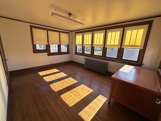 interior space featuring dark hardwood / wood-style floors and radiator heating unit