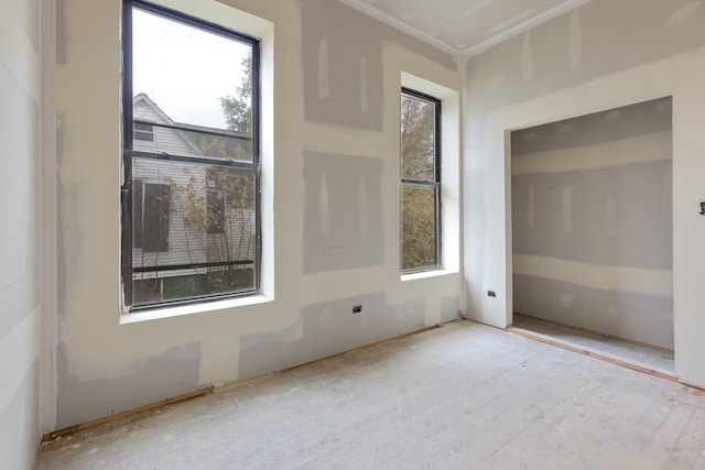 empty room with plenty of natural light and light hardwood / wood-style flooring