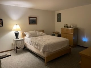 bedroom featuring dark colored carpet and electric panel