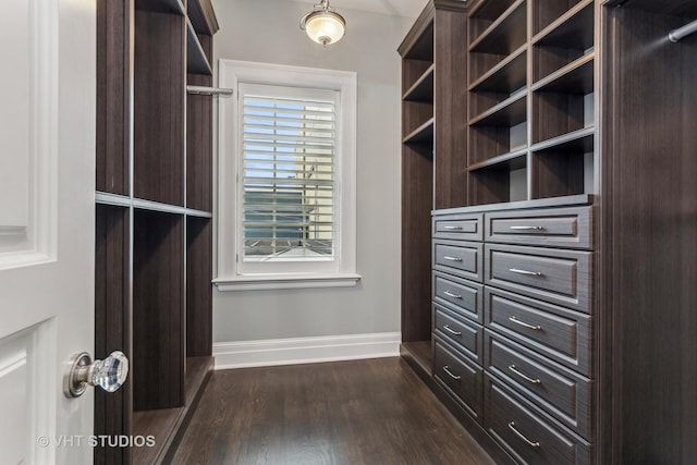 spacious closet featuring dark wood-style floors