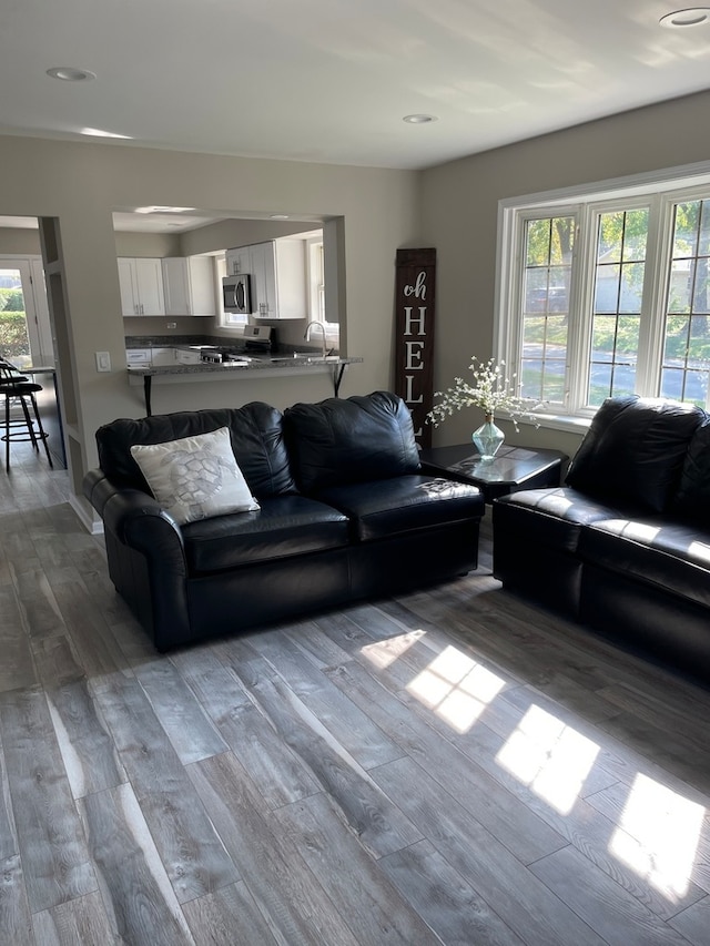 living room with a wealth of natural light, hardwood / wood-style floors, and sink